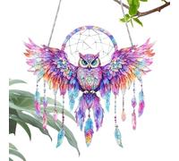Owl Sun Catcher, 2D Stained Acrylic Sun Catcher, Dream Catch with Colorful Wings, 7,87 x 6,69 pulgadas, for Living Room, Bedroom Decoration, Multicolor