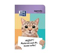 Oxford Funny Pets - Agenda escolar diaria 2019-2020, 1 día, 352 páginas, 12 x 18 cm, diseño de gato blanco
