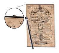 Pack colgador con poster harry potter 2