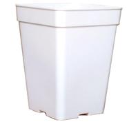 Pack de 100 Macetas Blancas cuadradas. 13x13x13 cm. 2,2 Litros. Ideales para el cultivo exterior donde el color blanco contribuye a que la temperatura en las raíces no sea elevada.