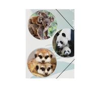 PAGNA 21718-15 - Carpeta de goma A3 PP Cute 3 solapas
