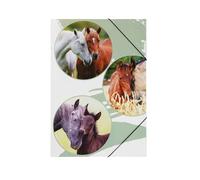 PAGNA 21720-15 - Carpeta con gomas elásticas (A3, PP, 3 solapas)