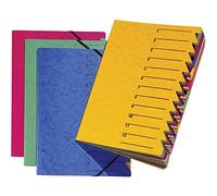 Pagna 24131-02 - Carpeta (DIN A4, cartón, 12 separadores de colores), color azul