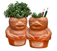 Paladone Harry Potter - Mandragore - Pot à plantes et à stylos