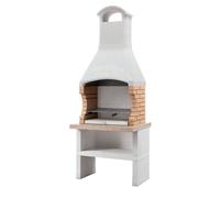 Palazzetti Ariel - Barbacoa Module Grill de obra para leña y carbón