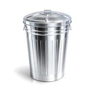 PAMEX - Cubo Basura Galvanizado Con Tapa Gatoto (75l)