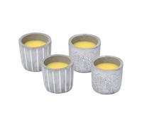 PANDA HOME Vela de Citronela de Larga Duración en Cuenco de Cemento | Aroma Fresco Antimosquitos para Casa, Habitación, Terraza y Jardín Medium,4u