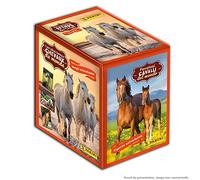 Panini Caballos 2023 - Caja de 36 Bolsillos, 004626BOX36F