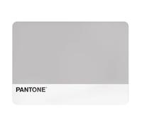Pantone™ - Manteles Individuales de Plástico, 1 Pieza Rectangular Impermeable, Salvamanteles Individuales Antideslizante - Manteles de Mesa Antimanchas Pequeñas 45x30 Lavables a Mano y Ahorra Espacio