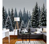 Papel pintado fotográfico Realismo natural - XXL, Paisaje de bosque nevado con efecto 3D, Papel pintado verde oscuro para salón y dormitorio, Papel pintado no tejido, 300 cm x 210 cm, Pegatinas - Cuad