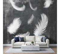 Papel pintado panorámico de 300 x 210 cm, minimalista moderno papel pintado fotográfico no tejido, tapicería para sala de estar, dormitorio, decoración de pared, pluma, fondo gris oscuro, efecto