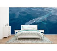 Papel pintado vinílico – Azul – Ancho 4,3 m x alto 2,4 m