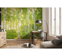 Papel Tapiz Foto Komar Bosque Verde 368x254cm Mural Dormitorio Salón