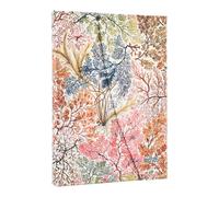 Paperblanks | 2026 Anémona | William Kilburn | Calendario 12 Monat | Midi | Horizontal | mit Klappumschlag | 160 Pg | 100 GSM