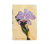 Paperblanks | Orquídea Brasileña | Cuadernos de tapa dura | Mini | Rayado