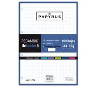 PAPYRUS Recambio Unicolor5 A4 90g 4 Taladros Cuadrícula 5x5 Colores Vivos (Set de 24)