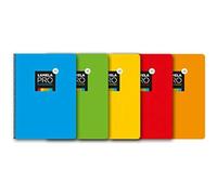 Lamela Cuaderno folio extra dura, 100 hojas, 4 mm, Paquete 5 surtidos