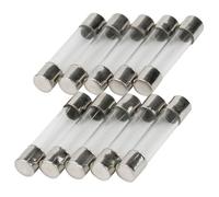 Paquete de 10 fusibles SeKi de 0,125 A (125 mA), 6 x 30 mm, lento; fusible de cristal de 250 V