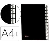 Pardo Carpeta clasificadora fuelle pardo carton compacto folio 24 departamentos visor doble personalizables negro