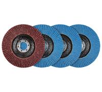 PARKSIDE® Juego de discos de láminas / Discos de pulir / Plato de lijado de velcro con juego de papel de lija / Juego de vellón abrasivo / Disco de limpieza / (Discos de láminas 4 piezas.)