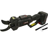 PARKSIDE PERFORMANCE® Tijera eléctrica para césped inalámbrica PPAAS 20-Li, con batería de 4 Ah y cargador de 2,4 A