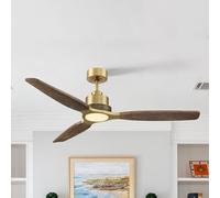 Parrot Uncle Ventilador de Techo con Luz 142cm, Regulable 3000/4000/6000K,Motor DC Silencioso 35W,6 Velocidades,Función Invierno-Verano,Mando Distancia,Aspas Madera Maciza para Dormitorio Salón