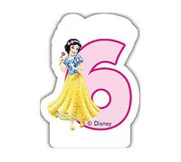 Partido Ênico Disney Princess y Animales sexta Vela de cumpleaños