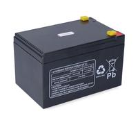 Pastormatic Batería 12V 12Ah para Pastor Eléctrico