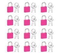 PATIKIL Mini candado, 12 piezas pequeñas de plástico decorativo para diario, mini candados con llave para diario, libro, maleta, joyero, mochila, equipaje, color rosa oscuro