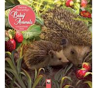 Patricia MacCarthy's Baby Animals Wall Calendar 2026 (Art Calendar)