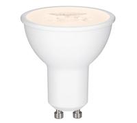 Paulmann 28577 Lámpara LED reflector mód. LED lum.empotrable Choose regul. 3 niveles 6,5W, regulable, bomb. bajo consumo, blanco, plástico 2700 K GU10