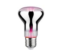 Paulmann Plant bombilla led 1x6.5 W 1300 K E27 28732