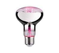 Paulmann Plant bombilla led 1x6.5 W 1300 K E27 28733