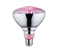 Paulmann 28737 Lámpara LED, luz para plantas 6,5 W, fuente de luz, luz de crecimiento, iluminación, cristal, luz 1300 K E27