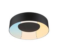 Paulmann Casca plafón 1x16 W negro PL71096
