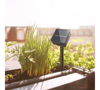PLM 78897 - Solar led raya 3m RGBY 0,3W 1,2V