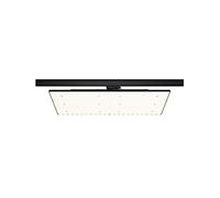 Paulmann 96582 Cubierta de panel LED ProRail3 6600lm 75W 3000K 230V negro sistema de iluminación con raíles