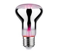Paulmann Plant bombilla led 1x6.5 W 1300 K E27 28732