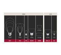 Paulmann Bombilla vela LED E14 4,5W 2.700K mate EC:EPREL:460850