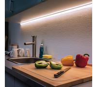 Paulmann MaxLED 500 tira IP20 luz diurna 1m