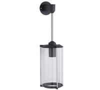 Paulmann Outdoor lámpara de pared para exteriores 1x60 W transparente-antracita 94281