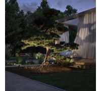 Paulmann Plug & Shine LED foco con pica Radix