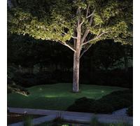 Paulmann Plug & Shine LED foco con pica Radon