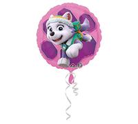 Paw Patrol Skye & Everest - Standard Circle
