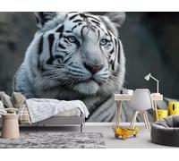 pdghsdkgjh Fotomurales - Papel pintado Tigre de tela no tejida para sala de estar y dormitorio, efecto 3D, animales, blanco y negro, 400 cm x 280 cm. Poster - Adhesivo para pared - Cuadro sin marco
