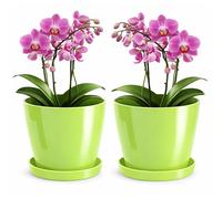 PECZEKO Maceta brillante, maceta de plástico, maceta decorativa para plantas grandes y pequeñas, juego de 2 macetas con plato, maceta para hierbas, color verde pastel, diámetro de 18 cm