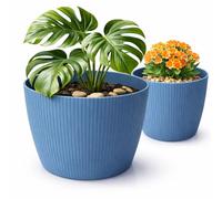 PECZEKO Macetero mate, macetero de plástico, maceta decorativa para plantas grandes, 2 maceteros de flores, macetero para hierbas, (2 unidades), color azul, diámetro de 22 cm