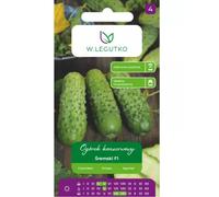 Pepino de tierra para conserva Śremski F1 - muy temprano