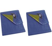Perel Impuesto, 12 Ojales, ángulos Reforzados, rectangulares, Azul/Verde, 70 g/m², 2 x 4 m (Paquete de 2)