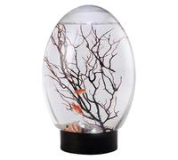 Pesca de pescado Betta Pequeña pecera con luz LED